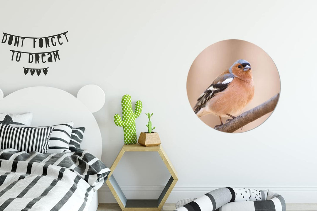 MuchoWow Wandbild Rund Wanddeko Deko Wohnzimmer Bilder 60x60 cm Vogel - Tiere - Fink, 60x60 cm