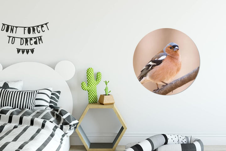 MuchoWow Wandbild Rund Wanddeko Deko Wohnzimmer Bilder 60x60 cm Vogel - Tiere - Fink, 60x60 cm