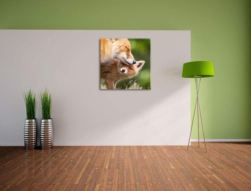 Kuschelnde Füchse, Format: 70x70 auf Leinwand, XXL riesige Bilder fertig gerahmt mit Keilrahmen, Kun