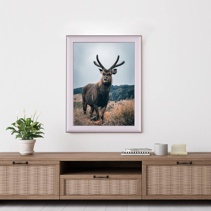 Rahmendesign24 Posterrahmen Fiona 50x50 Alu gebürstet Fotorahmen, Wechselrahmen, Bilderrahmen