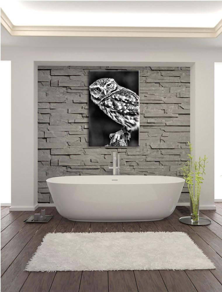 Monocrome, Eule auf Ast, Format: 100x70 auf Leinwand, XXL riesige Bilder fertig gerahmt mit Keilrahm
