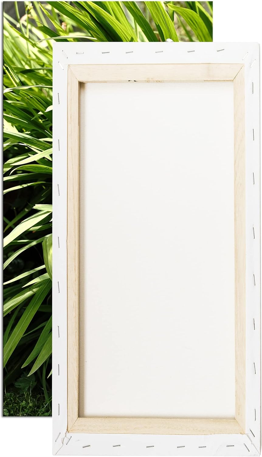 Magierstatur im hohen Gras Panorama 80x40 cm als Leinwandbild, Motiv fertig gerahmt auf Echtholzrahm