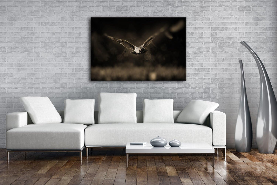 atemberaubende Eule auf der Jagd Format: 80x60 Effekt: Sepia als Leinwandbild, Motiv fertig gerahmt