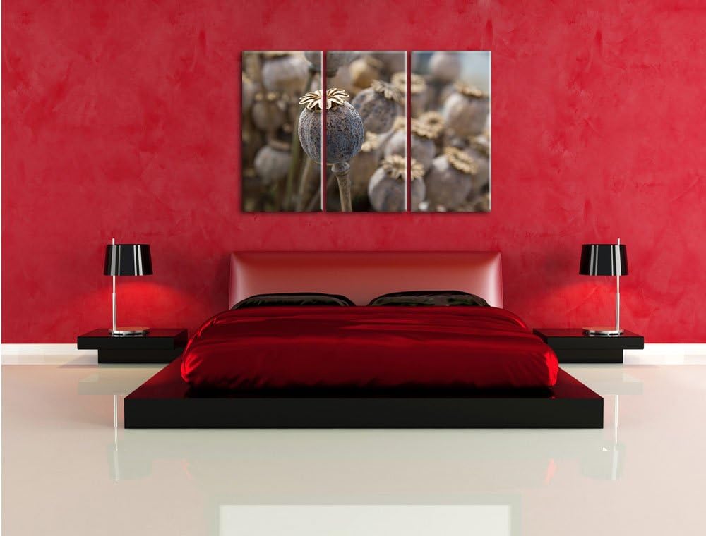 Pixxprint Mohnkapsel der Mohnblume / 3-Teilig/Gesamtmass 120cm Leinwandbild bespannt auf Holzrahmen/