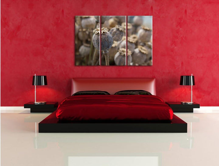 Pixxprint Mohnkapsel der Mohnblume / 3-Teilig/Gesamtmass 120cm Leinwandbild bespannt auf Holzrahmen/