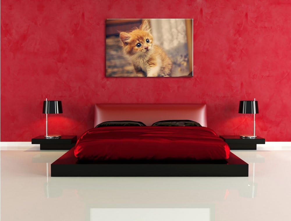 Neugieriges Kätzchen, Format: 100x70 auf Leinwand, XXL riesige Bilder fertig gerahmt mit Keilrahmen,