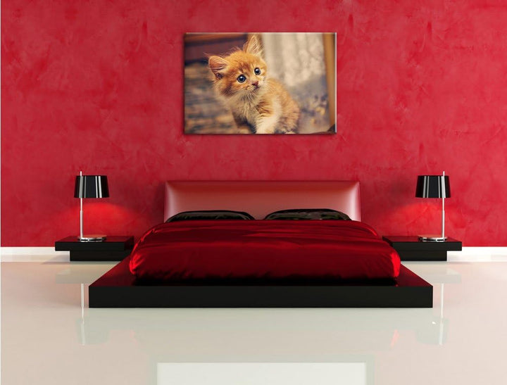 Neugieriges Kätzchen, Format: 100x70 auf Leinwand, XXL riesige Bilder fertig gerahmt mit Keilrahmen,