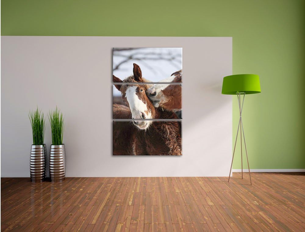 Pixxprint schmusende Pferde als Leinwandbild/Grösse: 3 Teilig (120x80) cm/Wandbild/Kunstdruck/fertig