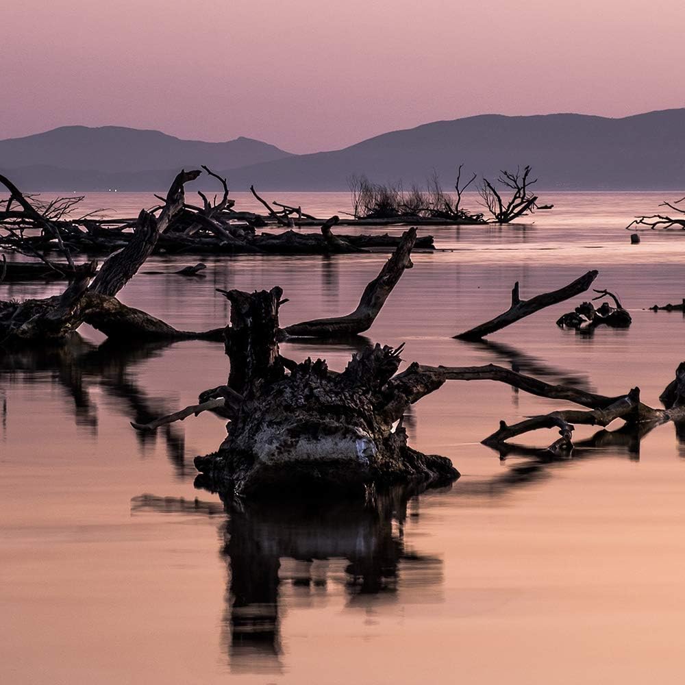 Feeby Wanddeko XXL Landschaft Leinwandbild 5 Teilig Natur Wasser Himmel violett 250x120 cm Leinwandb