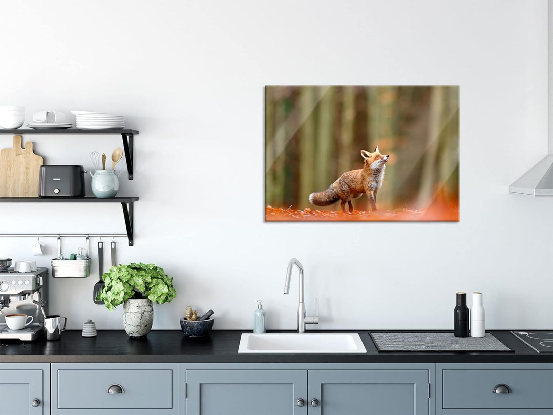 Pixxprint Glasbild | Wandbild aus Echtglas | Neugieriger Fuchs im Herbstwald | 80x60 cm | inkl. Aufh
