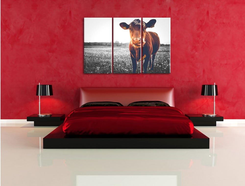 Pixxprint Kuh auf Butterblumenwiese als Leinwandbild/Grösse: 3 Teilig (120x80 cm) cm/Wandbild/Kunstd