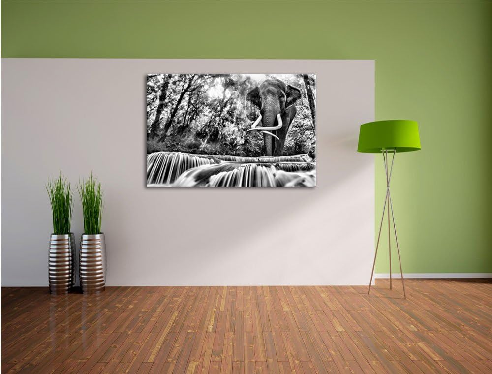 Pixxprint Monocrome, Elefant am Bach, Format: 100x70 auf Leinwand, 100x70