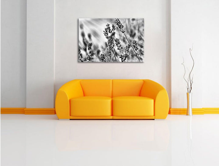 Pixxprint Eleganter Lavendel / 100x70cm Leinwandbild bespannt auf Holzrahmen/Wandbild Kunstdruck Dek