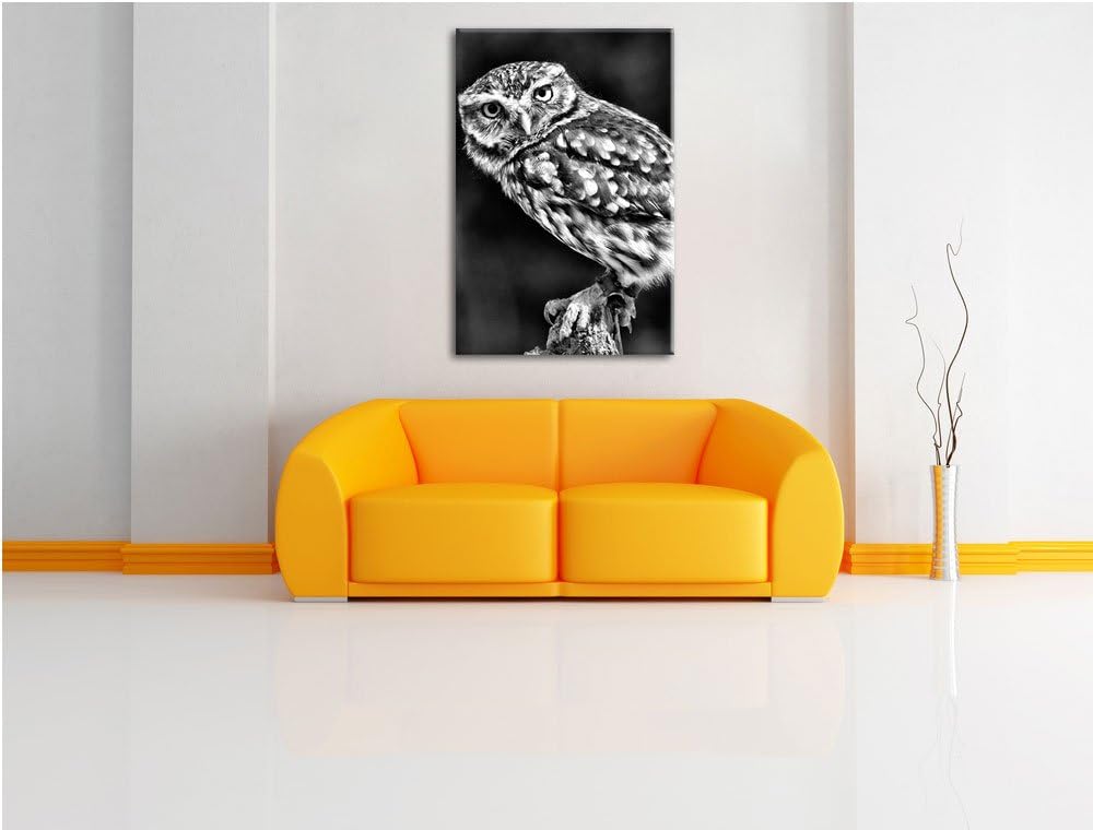 Monocrome, Eule auf Ast, Format: 100x70 auf Leinwand, XXL riesige Bilder fertig gerahmt mit Keilrahm