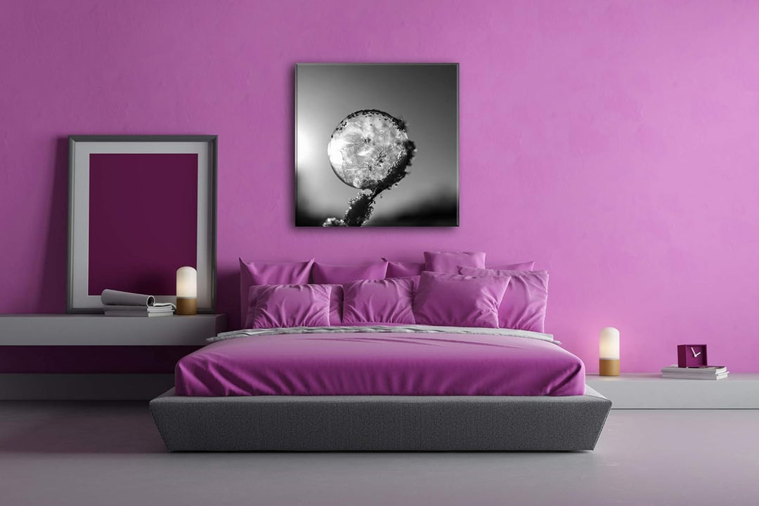 deyoli Zauberhafte Gefrorene Seifenblase Format: 70x70 Effekt: Schwarz&Weiss als Leinwandbild, Motiv