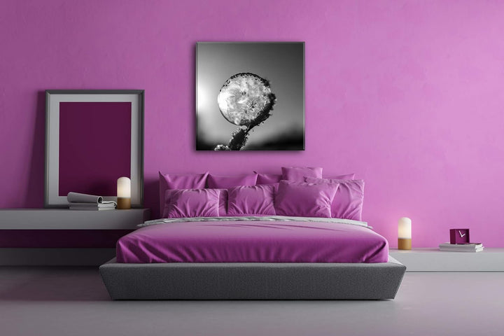 deyoli Zauberhafte Gefrorene Seifenblase Format: 70x70 Effekt: Schwarz&Weiss als Leinwandbild, Motiv