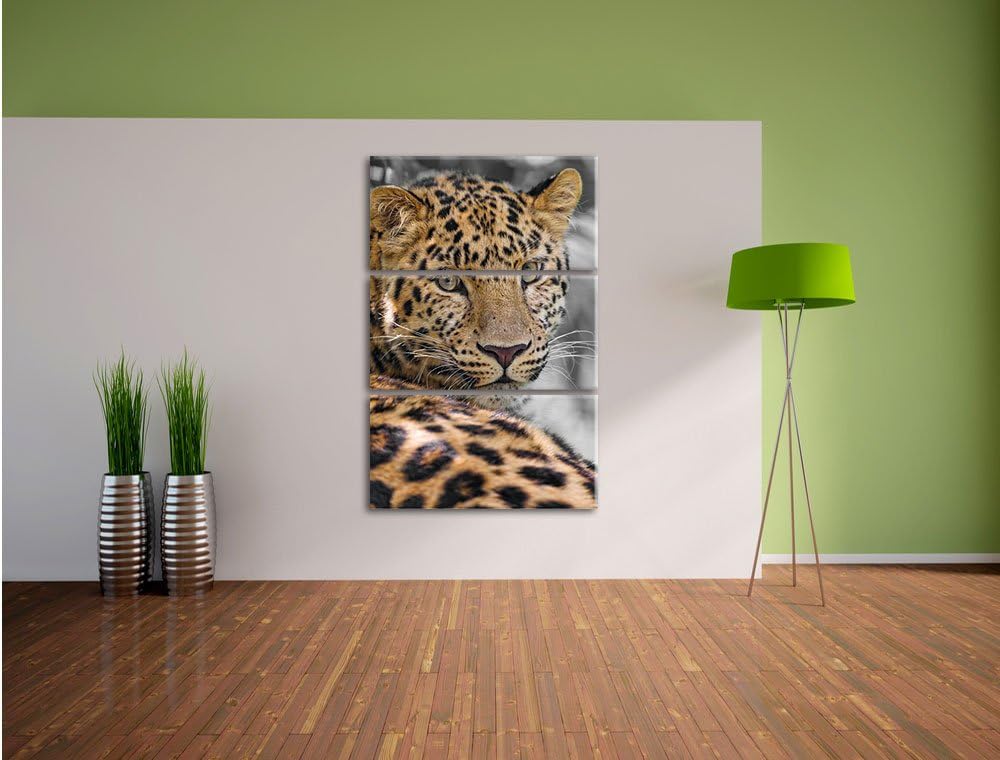 Pixxprint aufmerksamer Leopard im Schatten als Leinwandbild/Grösse: 3 Teilig (120x80) cm/Wandbild/Ku