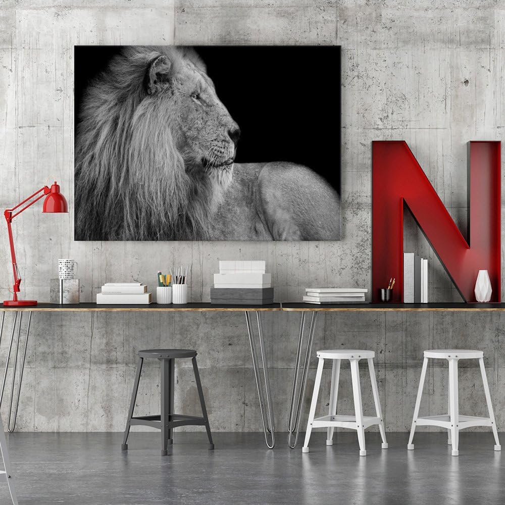 Feeby. Wandbilder - 1 Teilig- 70x100 cm - Bilder Kunstdrucke Deko Panel, LÖWE, NATUR, SCHWARZ UND WE