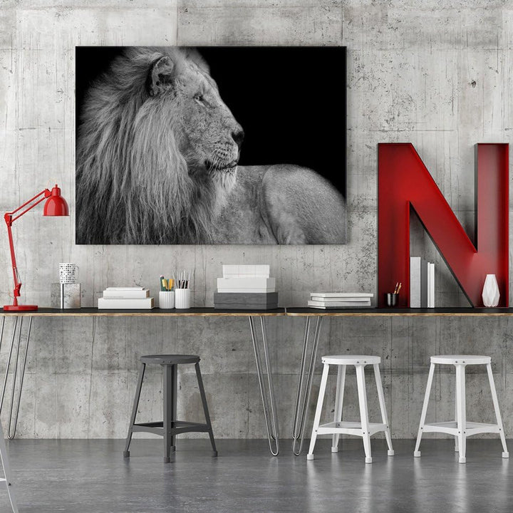 Feeby. Wandbilder - 1 Teilig- 70x100 cm - Bilder Kunstdrucke Deko Panel, LÖWE, NATUR, SCHWARZ UND WE