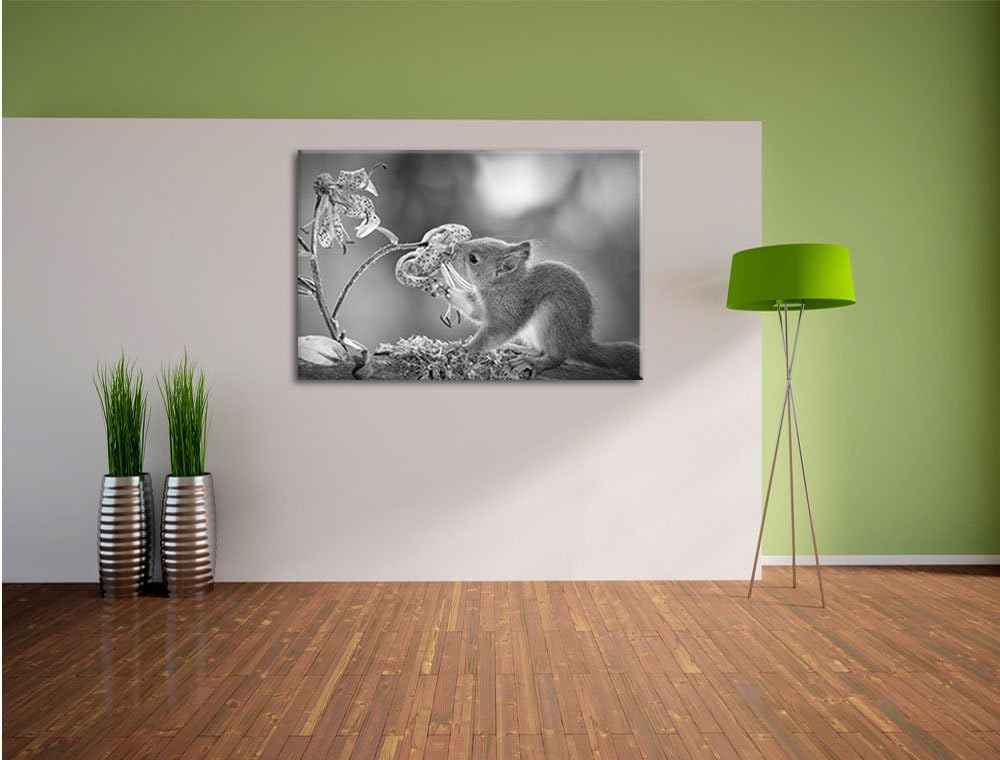 Pixxprint süsses Eichhörnchen riecht an Einer Blume Kunst B&W, Format: 100x70 auf Leinwand, XXL ries
