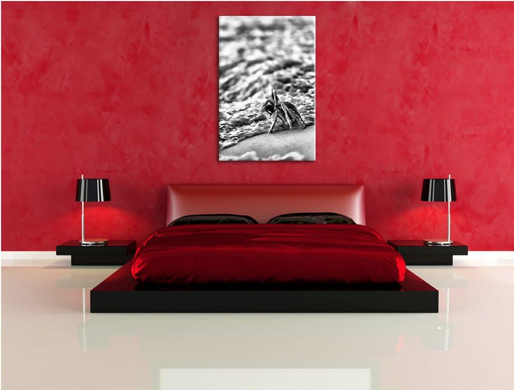 Pixxprint Monocrome, kleine Krabbe am Strand als Leinwandbild | Grösse: 100x70 | Wandbild| Kunstdruc