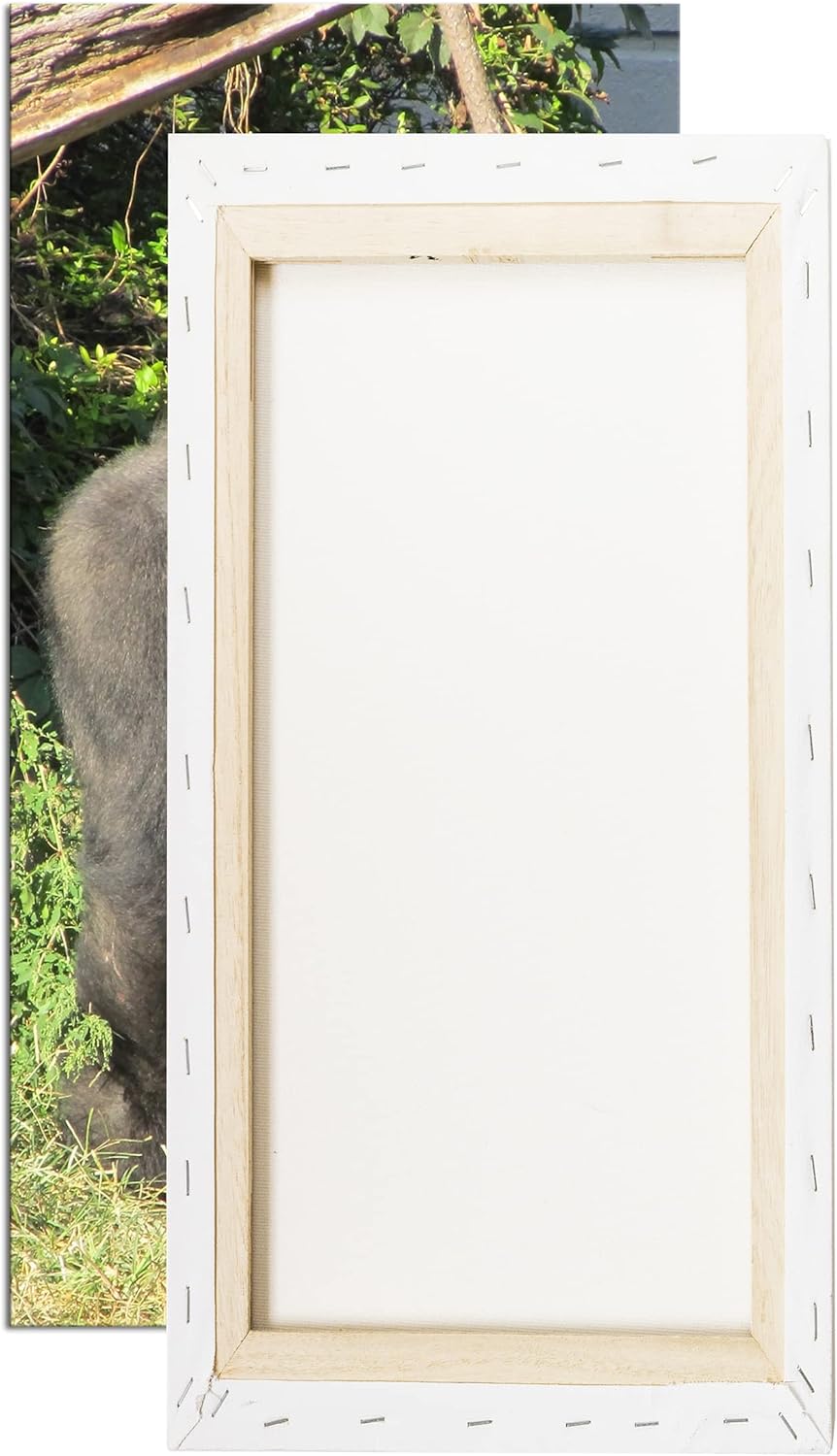 stolzer Gorilla Panorama 100x50 cm als Leinwandbild, Motiv fertig gerahmt auf Echtholzrahmen, Hochwe