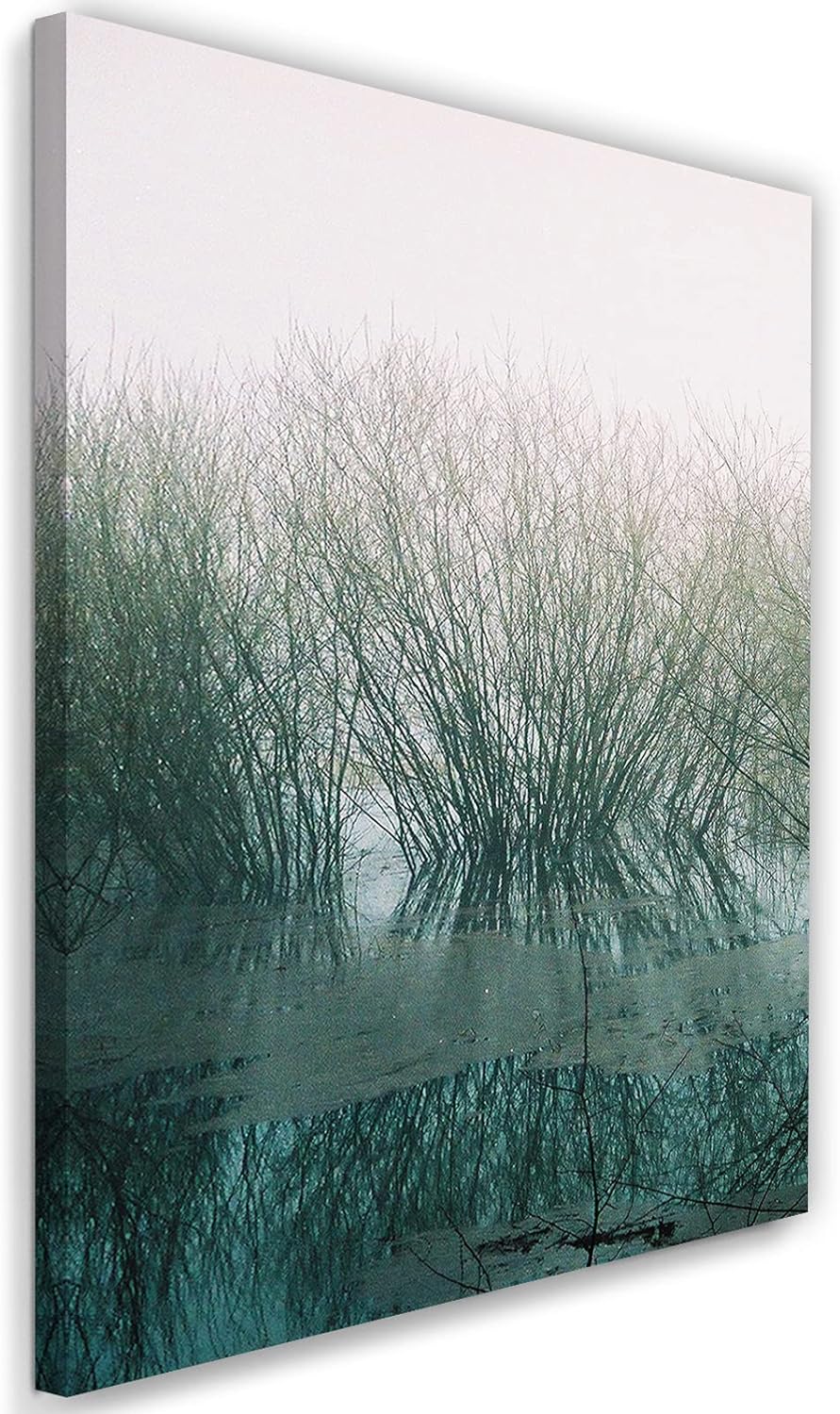 Feeby Bild Wiese Nebel Landschaft XXL 80x120 cm 1Teilig Modern Vlies Bilder Wandbilder Leinwandbilde