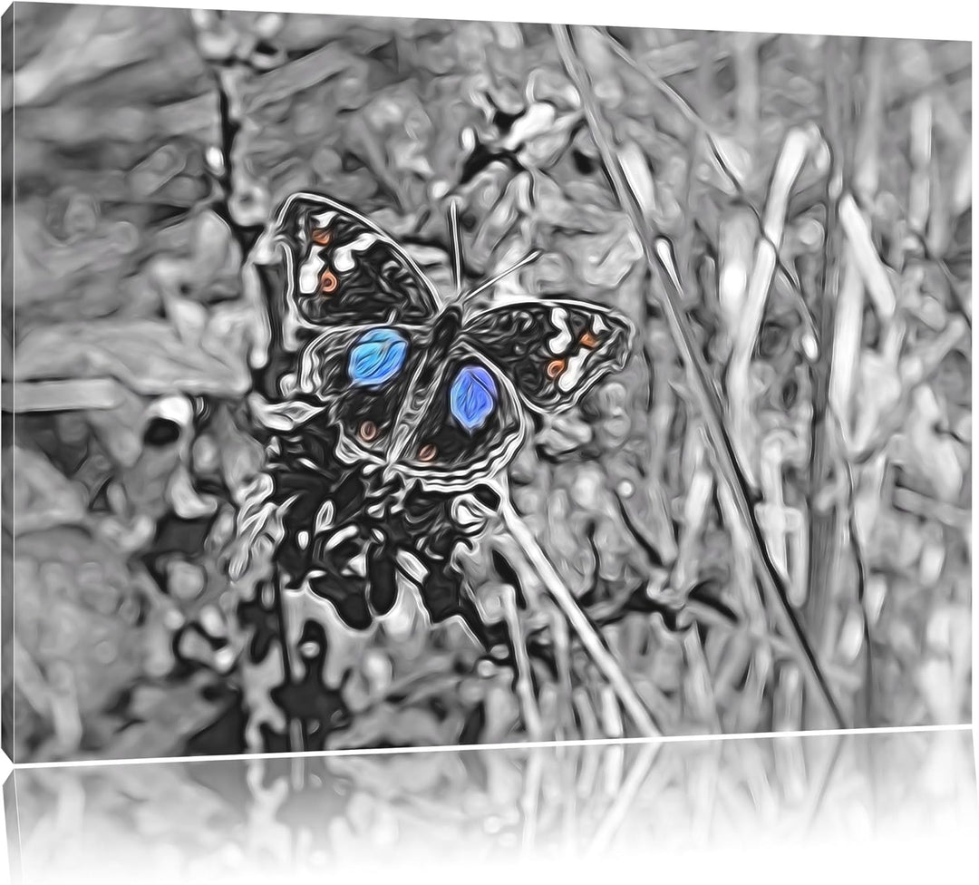 aussergewöhnlicher Schmetterling auf Grashalm schwarz/weiss Deluxe Format: 100x70 cm auf Leinwand, X