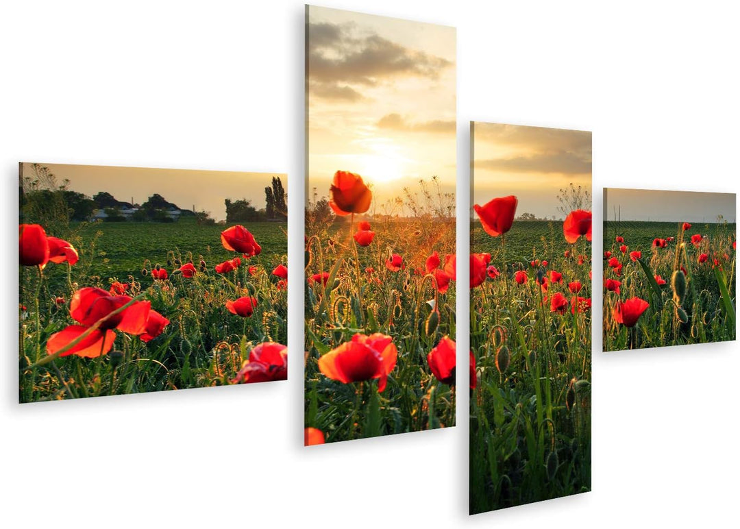 Bild Bilder auf Leinwand Mohnblumen Feldblume bei Sonnenuntergang Wandbild, Poster, Leinwandbild PYC