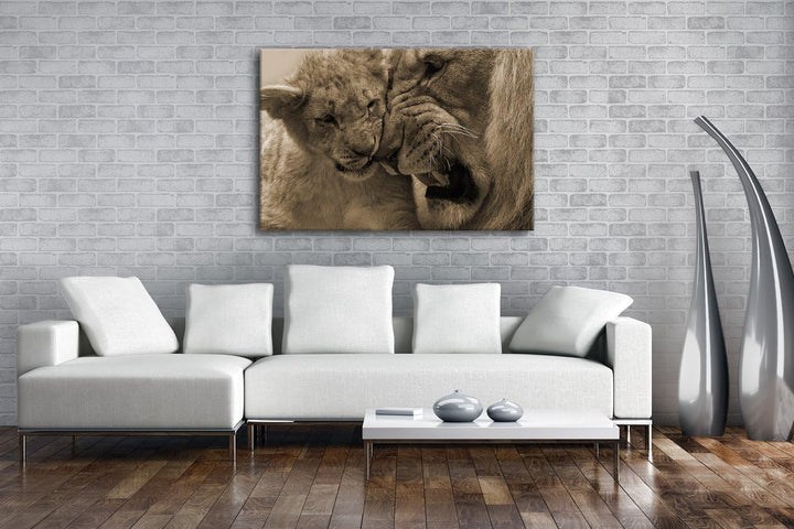 deyoli wilde Löwen Format: 80x60 Effekt: Sepia als Leinwandbild, Motiv fertig gerahmt auf Echtholzra