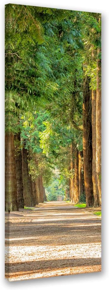 Feeby Vlies Leinwandbild Allee Zwischen Den Bäumen 60x150 cm Wand Bild Kunstdruck Deko Wohnzimmer Wo