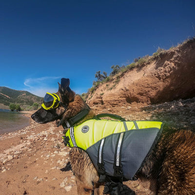 VIVAGLORY Sportstil Schwimmweste für Hunde mit Hervorragendem Auftrieb, Einstellbar & Langlebig Schw