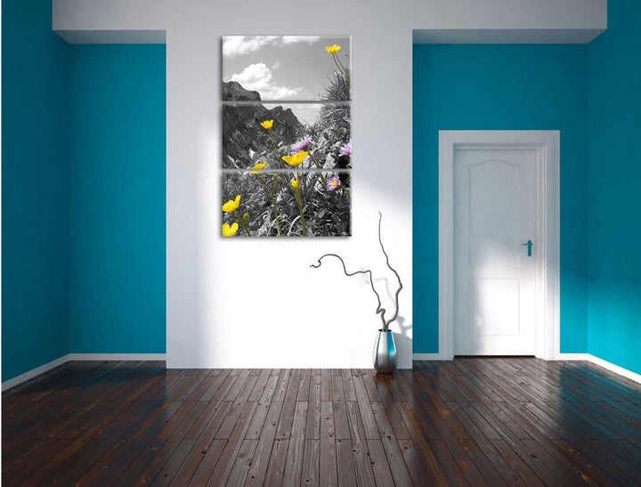 Pixxprint Traumhafte Blumenwiese im Frühling schwarz/weiss 3-Teiler Leinwandbild 120x80 Bild auf Lei