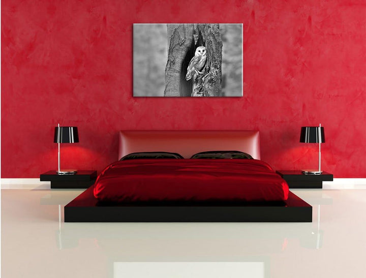 Pixxprint Schleiereule Baumhöhle / 100x70cm Leinwandbild bespannt auf Holzrahmen/Wandbild Kunstdruck