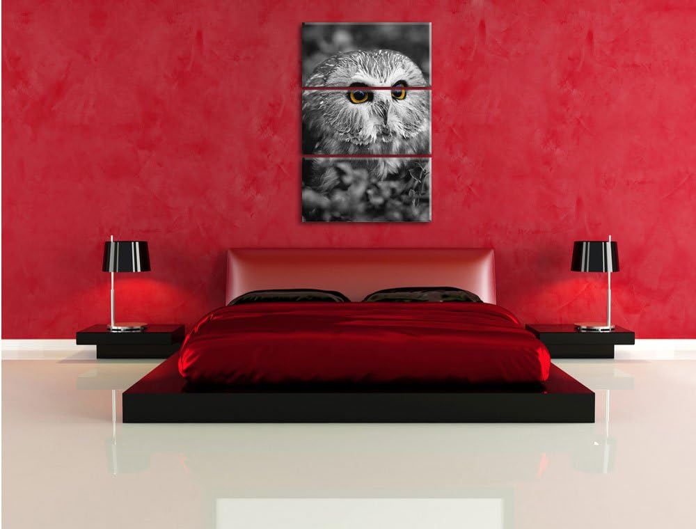 Pixxprint junger Kauz im Vogelbeerstrauch schwarz/weiss 3-Teiler Leinwandbild 120x80 Bild auf Leinwa