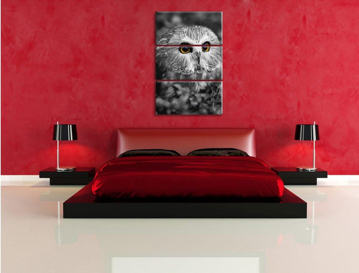 Pixxprint junger Kauz im Vogelbeerstrauch schwarz/weiss 3-Teiler Leinwandbild 120x80 Bild auf Leinwa