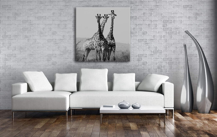 deyoli süsse Giraffen Format: 70x70 Effekt: Schwarz&Weiss als Leinwandbild, Motiv fertig gerahmt auf
