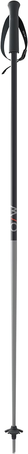 Fischer Skistöcke OneWay GT18 Flame/Vapor All Mountain Alpin Stöcke Aluminium 110cm Vapor, 110cm Vap