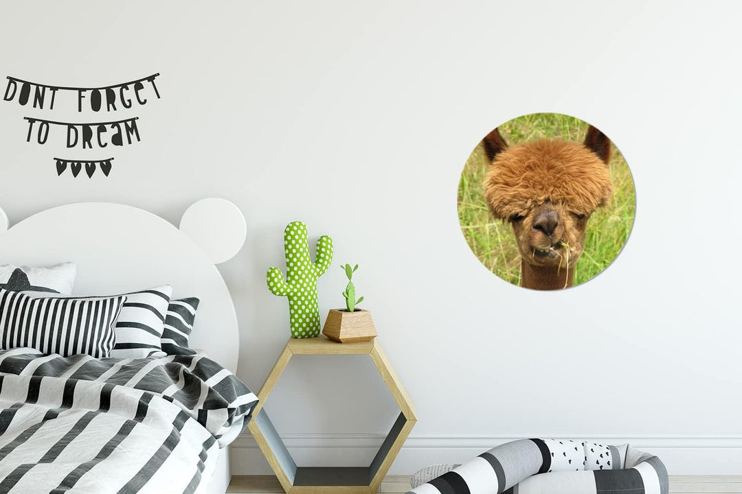 MuchoWow Wandbild Rund Wanddeko Deko Wohnzimmer Bilder 30x30 cm Alpaka - Gras - Haare, 30x30 cm