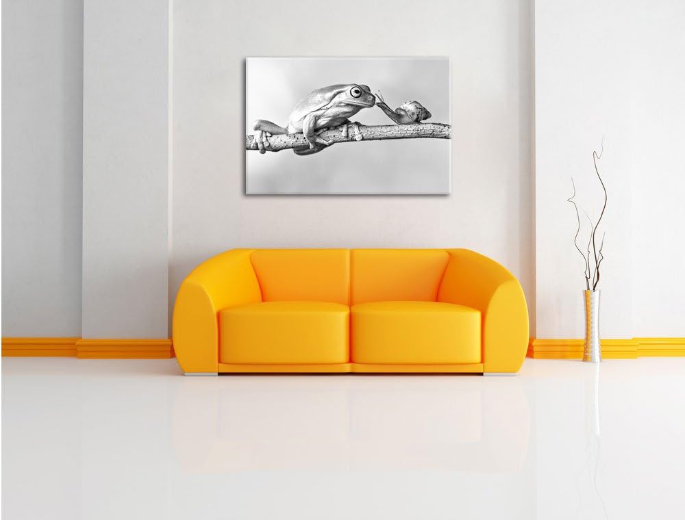 Pixxprint Frosch und die Schnecke als Leinwandbild/Grösse: 100x70 cm/Wandbild/Kunstdruck/fertig besp