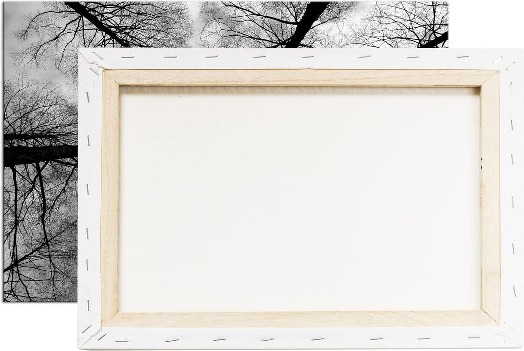 deyoli riessige Baumkronen im Herbst Format: 80x60 als Leinwand, Effekt: Schwarz&Weiss, Motiv fertig