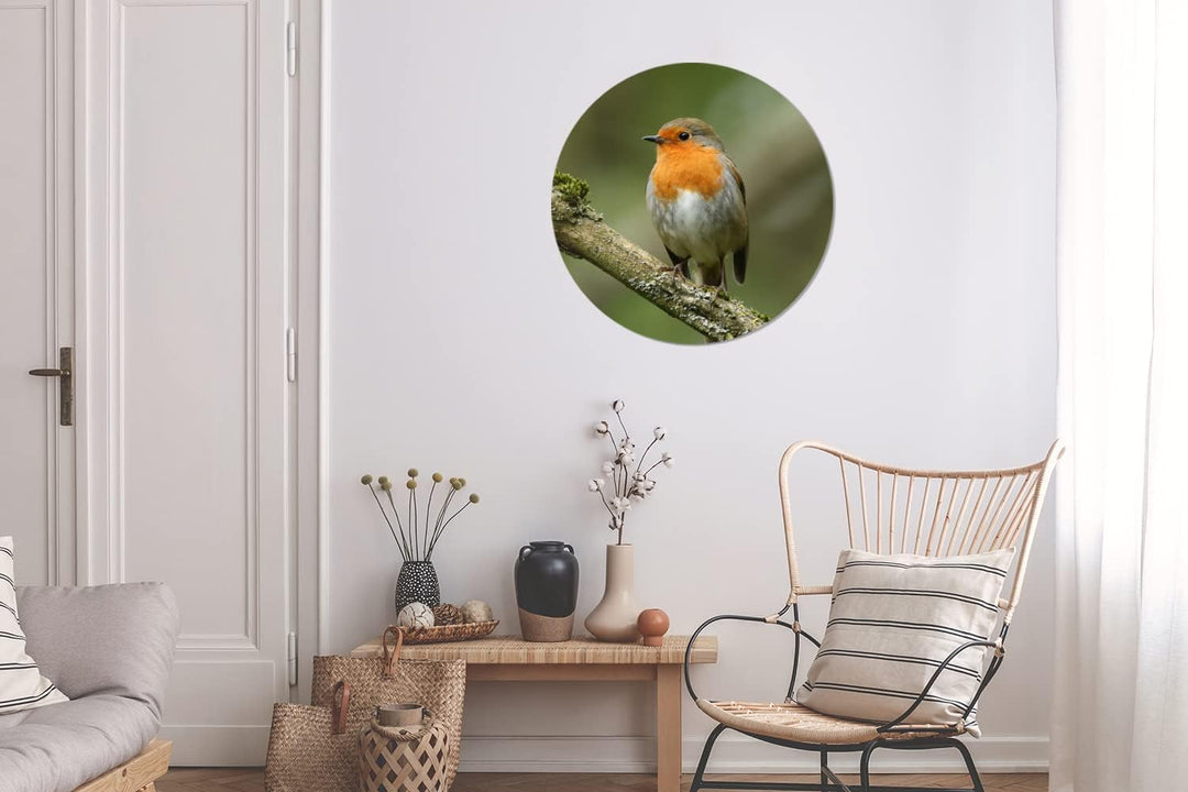 MuchoWow Wandbild Rund Wanddeko Deko Wohnzimmer Bilder 60x60 cm Vogel - Rotkehlchen - Zweig - Pflanz