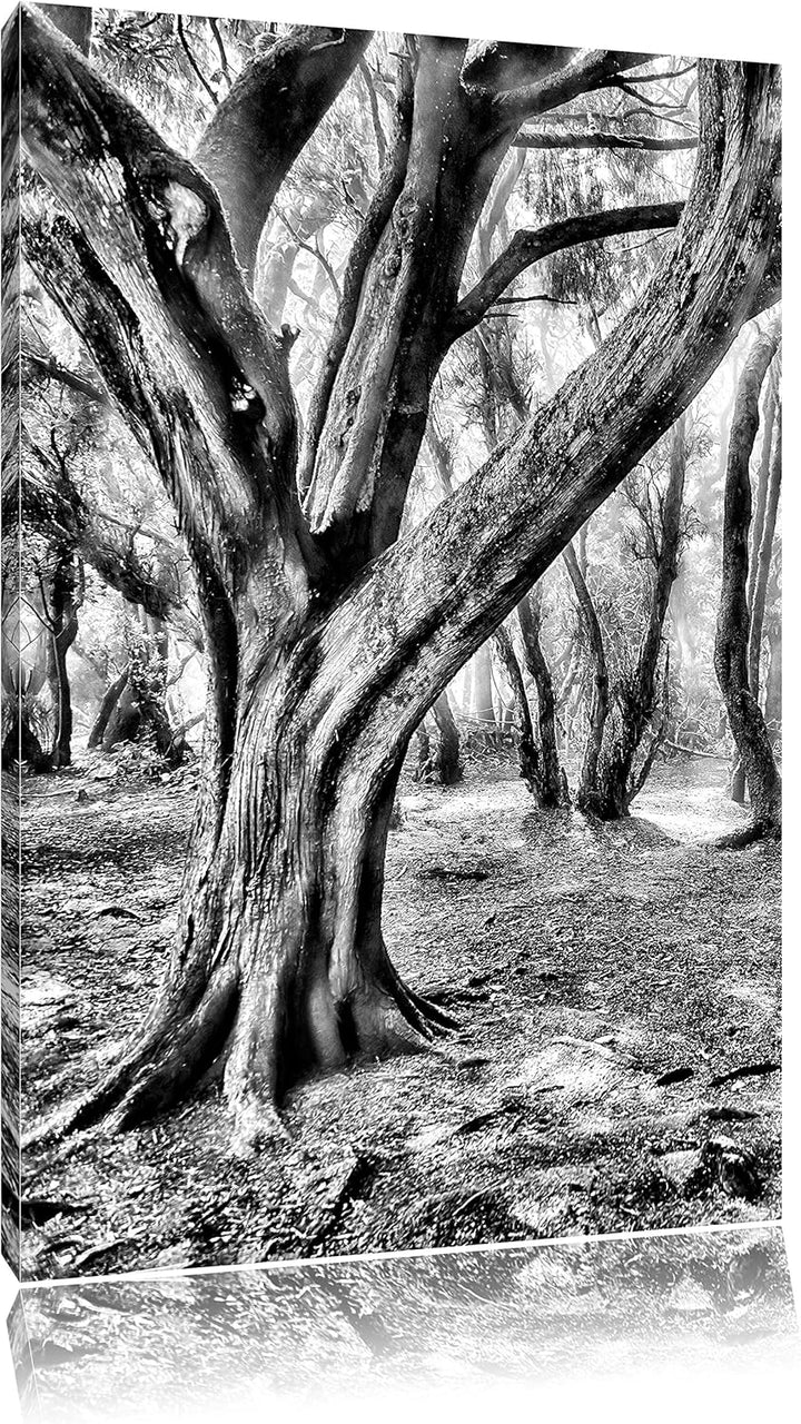 Monocrome, Wald, Format: 100x70 auf Leinwand, XXL riesige Bilder fertig gerahmt mit Keilrahmen, Kuns