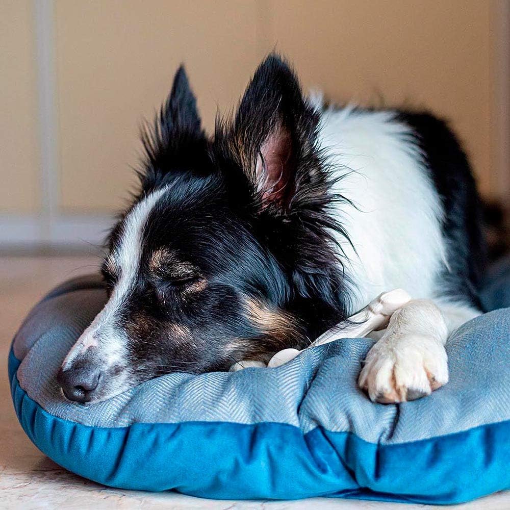 Ferplast Hundebett Hundekissen Katzenkissen Hundesofa für kleine Hunde, Katzenbett, 78 x 50 x 15 cm