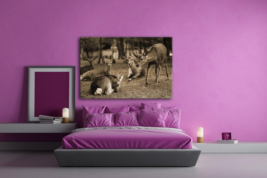 deyoli süsse Rehe im Wildgehege Format: 100x70 Effekt: Sepia als Leinwand, Motiv fertig gerahmt auf