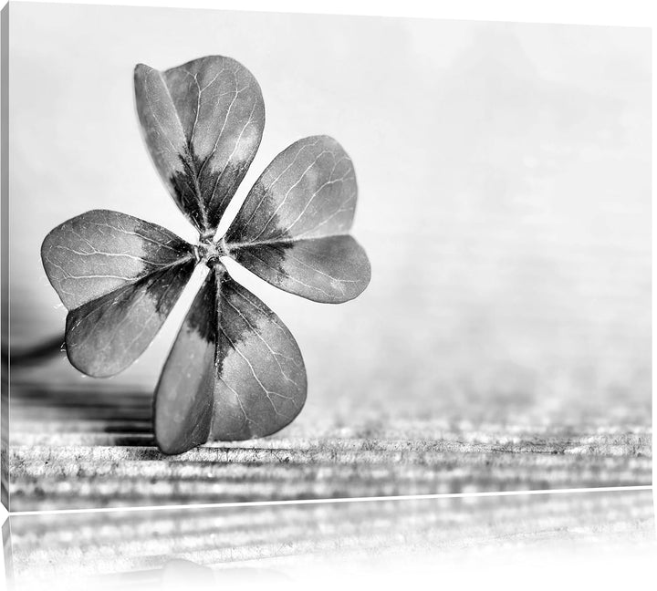 Pixxprint Glücks Kleeblatt mit 4 Blättern als Leinwandbild/Grösse: 100x70 cm/Wandbild/Kunstdruck/fer