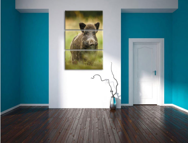 Pixxprint Wildschwein auf Wiese als Leinwandbild | Grösse: 3 Teilig (120x80) | Wandbild| Kunstdruck