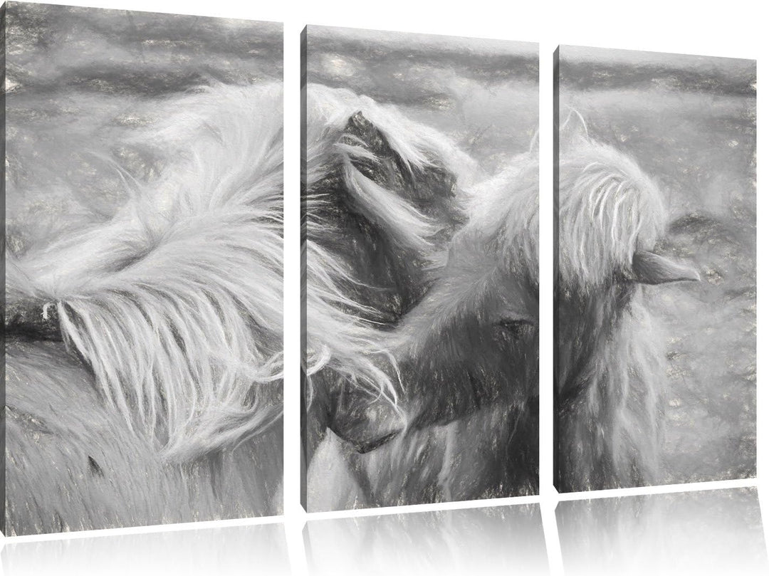 Pixxprint Islandpferde Pony Kunst / 3-Teilig/Gesamtmass 120cm Leinwandbild bespannt auf Holzrahmen/W