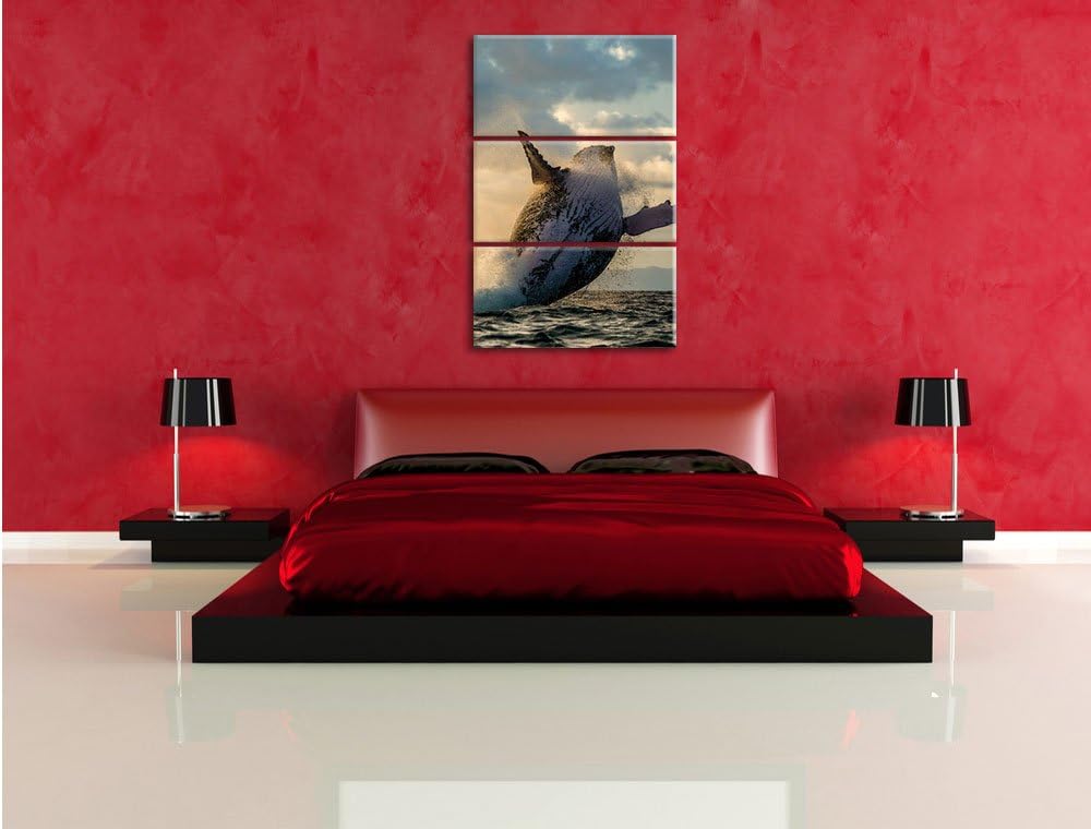 Pixxprint Buckelwale Kanada als Leinwandbild/Grösse: 3 Teilig (120x80) cm/Wandbild/Kunstdruck/fertig
