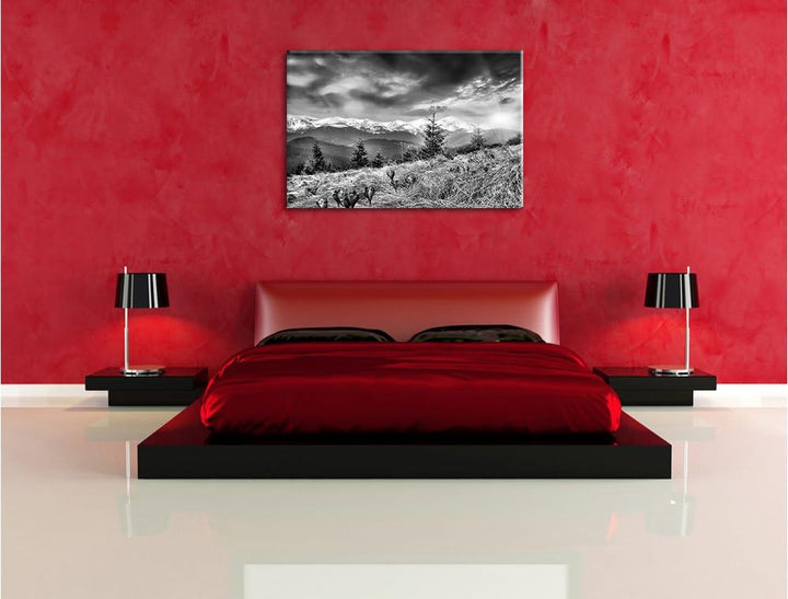 Pixxprint Monocrome, Krokusse auf Hochalmwiese in Alpen, Format: 100x70 auf Leinwand, 100x70